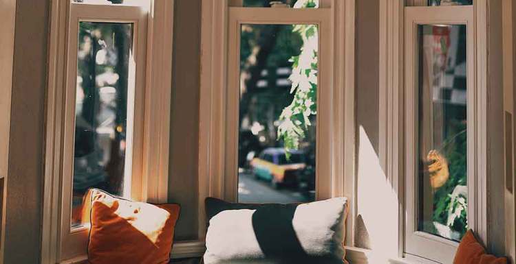 Vinyl Windows